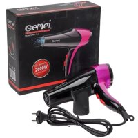Gemei Gm-1766 Professional Hair Dryer